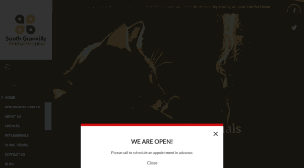 southgranvilleanimalvet.com
