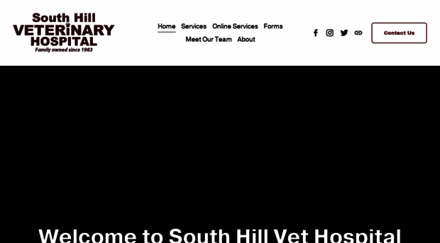 southhillvet.com