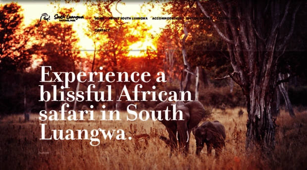 southluangwa.com