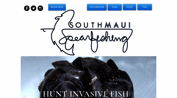 southmauispearfishing.com