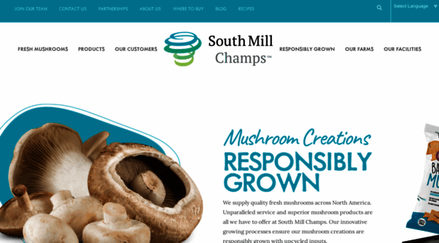 southmill.com