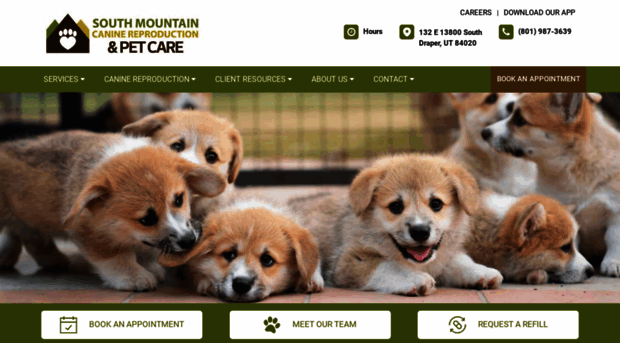 southmtnpet.com