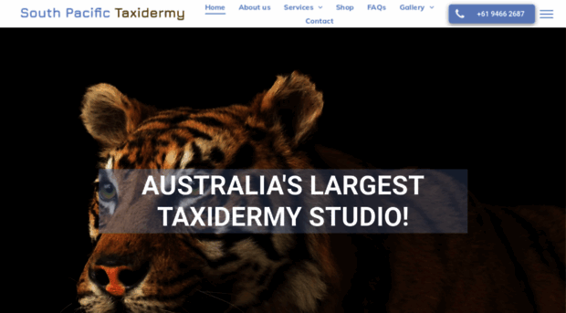 southpacifictaxidermy.com