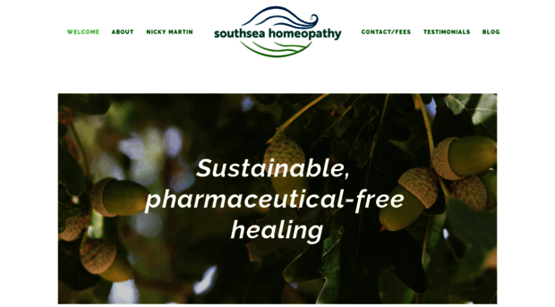 southseahomeopathy.com