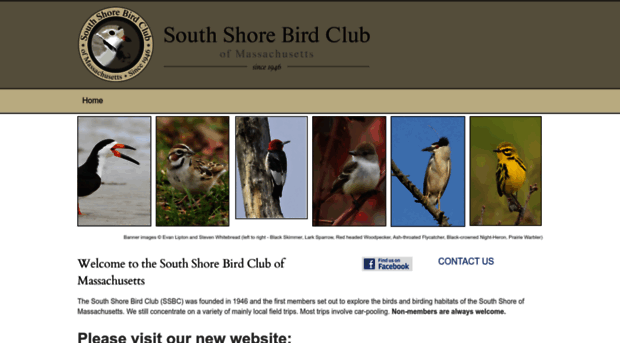 southshorebirdclub.weebly.com