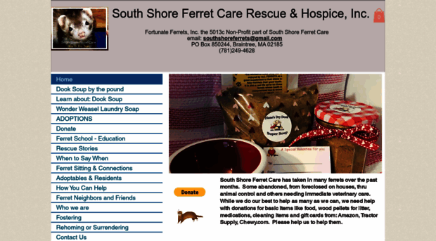 southshoreferretcare.org