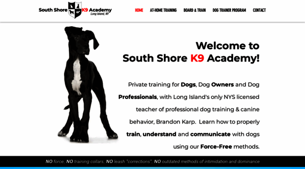 southshorek9academy.com