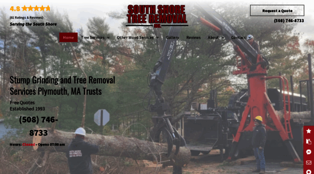 southshoretreeremoval.com