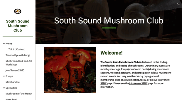southsoundmushroomclub.com