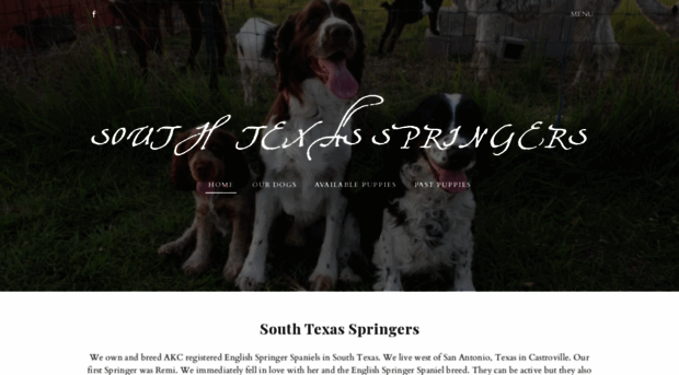 southtexasspringers.weebly.com