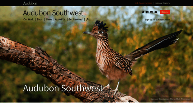 southwest.audubon.org