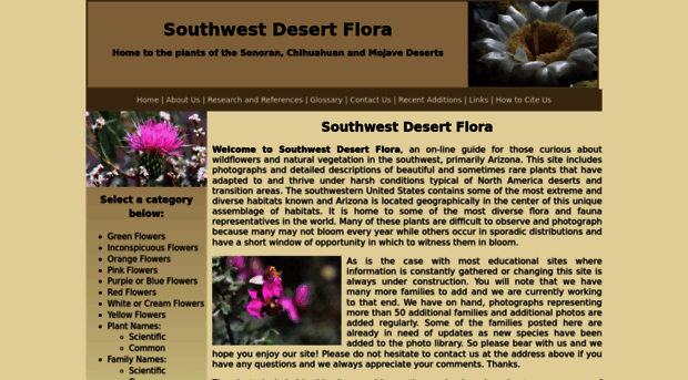 southwestdesertflora.com