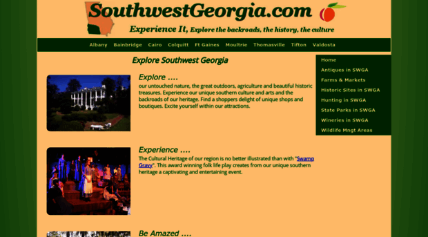 southwestgeorgia.com