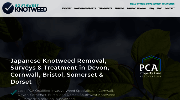 southwestknotweed.co.uk