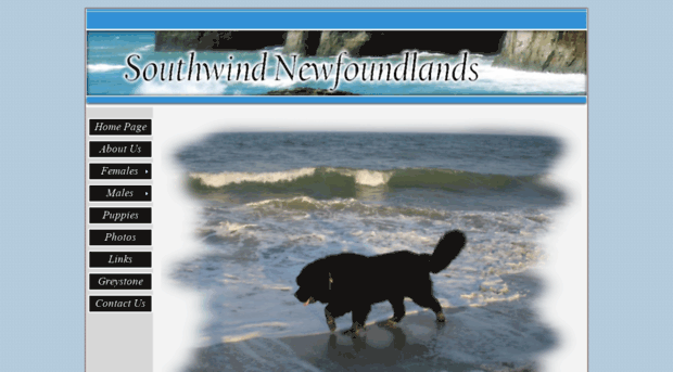 southwindnewfoundlands.com