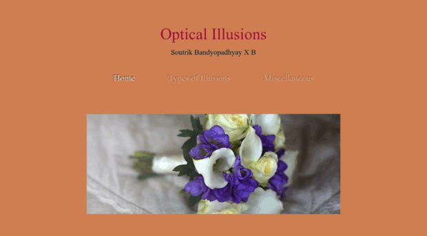 soutrikopticalillusions.weebly.com