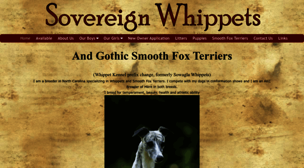 sowaglawhippets.com
