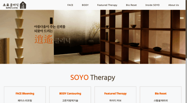 soyoclinic.com