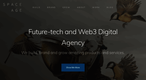 spaceage.agency