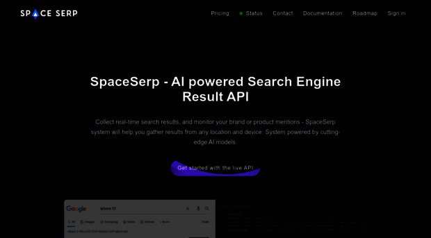 spaceserp.com