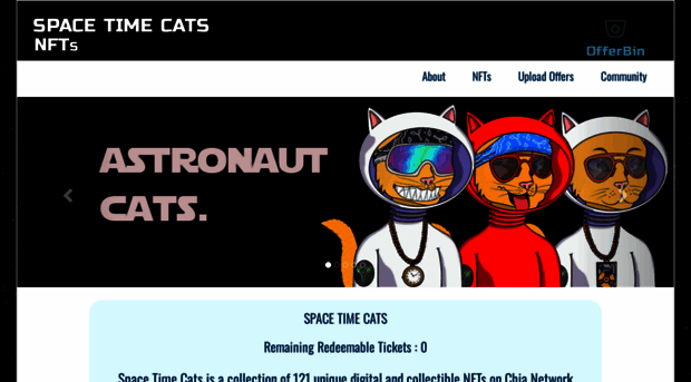 spacetimecats.com