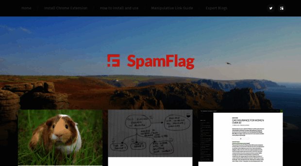 spamflag.com