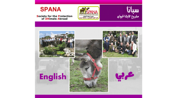 spana-syria.org