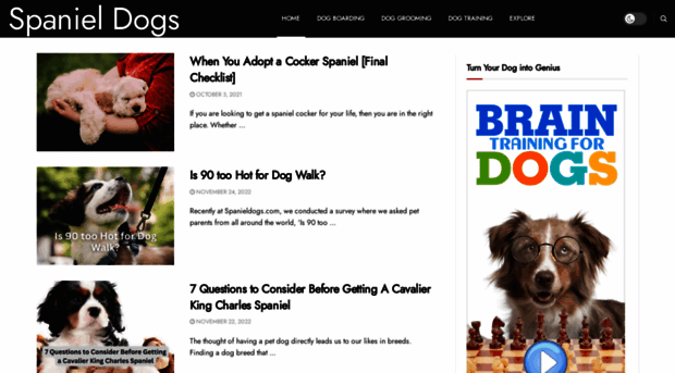 spanieldogs.com