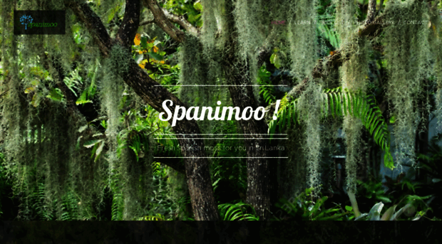 spanimoo.webnode.com