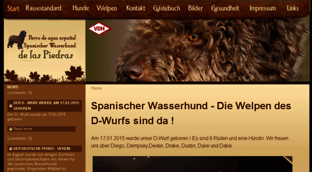 spanische-wasser-hunde.de