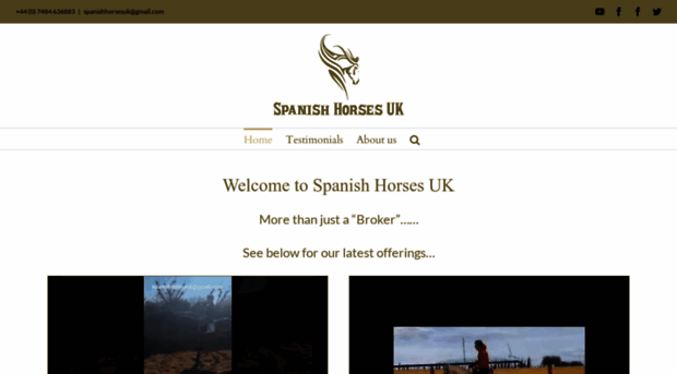 spanishhorsesuk.com