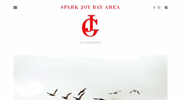 sparkjoybayarea.com