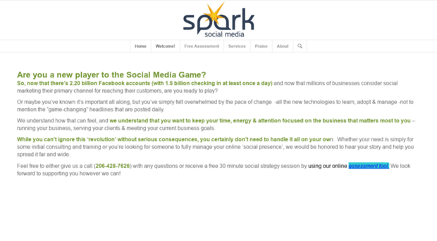 sparksocialmedia.com