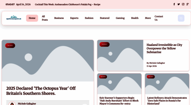 sparkviewpoint.ca