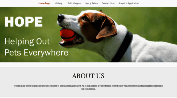 sparrowdogs.com