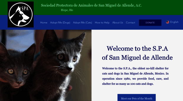 spasanmiguel.org