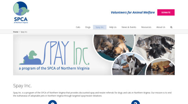 spay.org