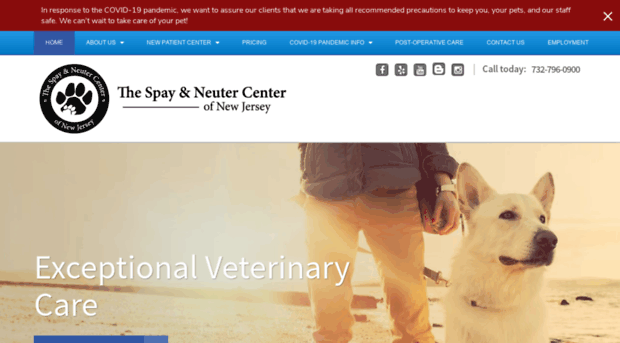 spayneuternewjersey.com