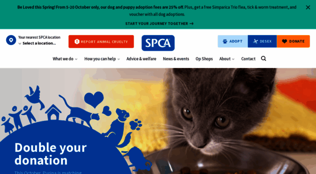 spca.nz