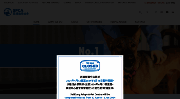 spca.org.hk