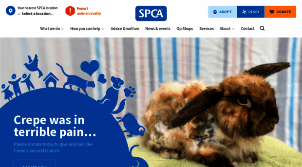 spca.org.nz