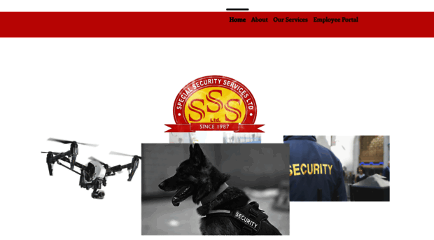 specialsecurityservices.ltd