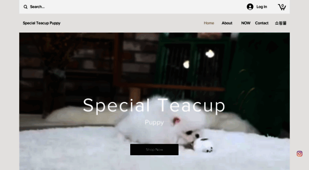 specialteacuppuppy.com