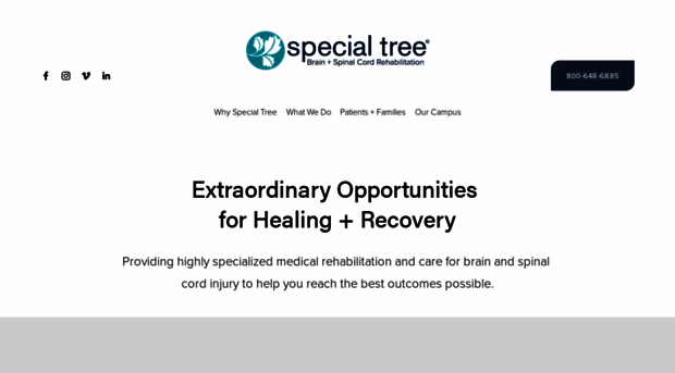 specialtree.com