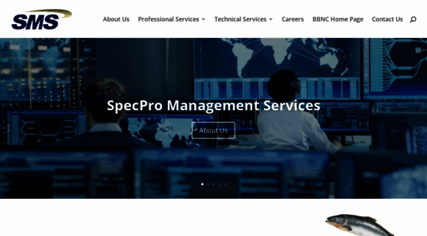 specpromgmtsvcs.com