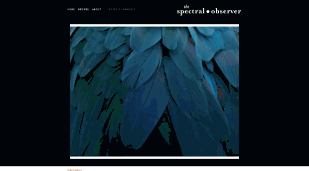 spectralobserver.com