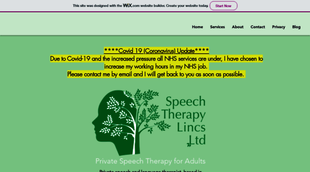 speechtherapylincs.com