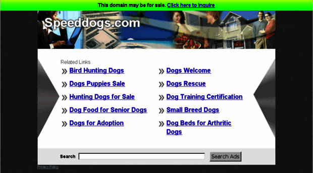 speeddogs.com