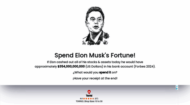 spend-elon-fortune.com