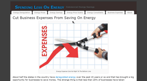 spendinglessonenergy.com